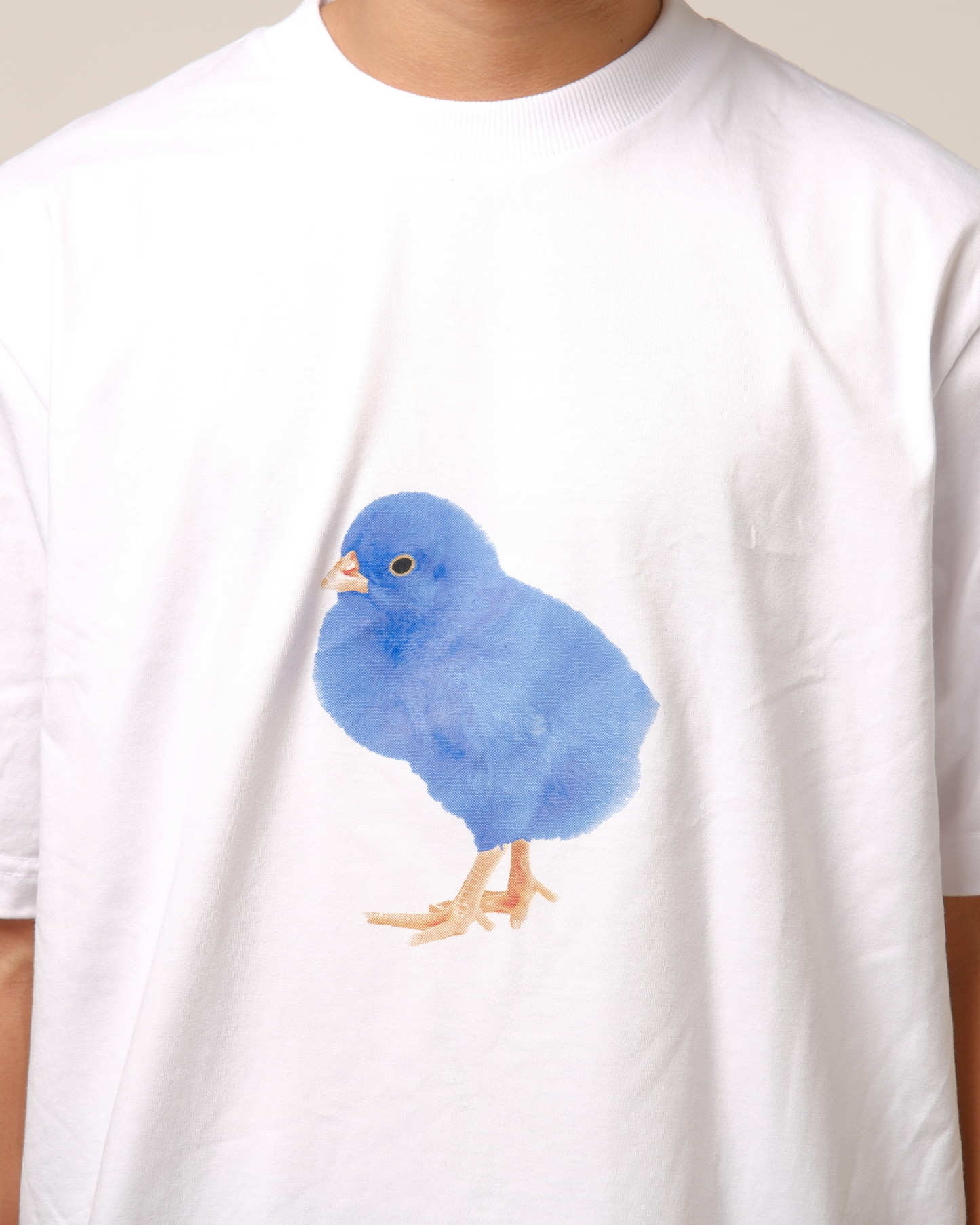 Blue Bird Tee